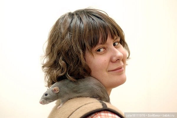 Дом кукол Лавандовый сон. Радость нашего дома