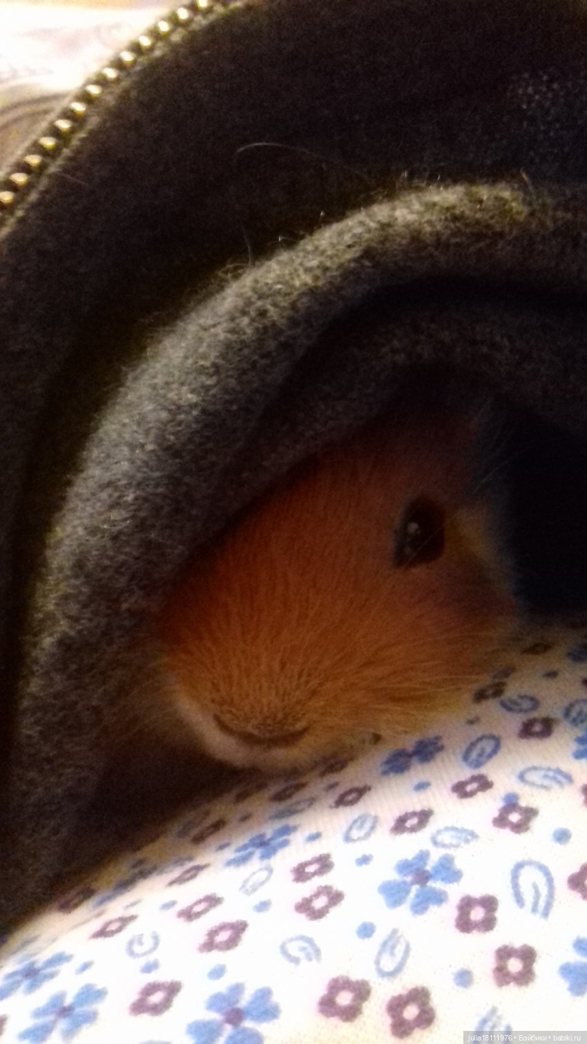 Дом кукол Лавандовый сон. Радость нашего дома (фото 6)