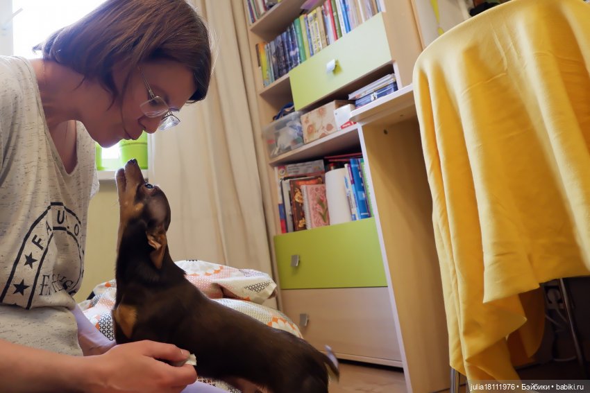 Дом кукол Лавандовый сон. Радость нашего дома