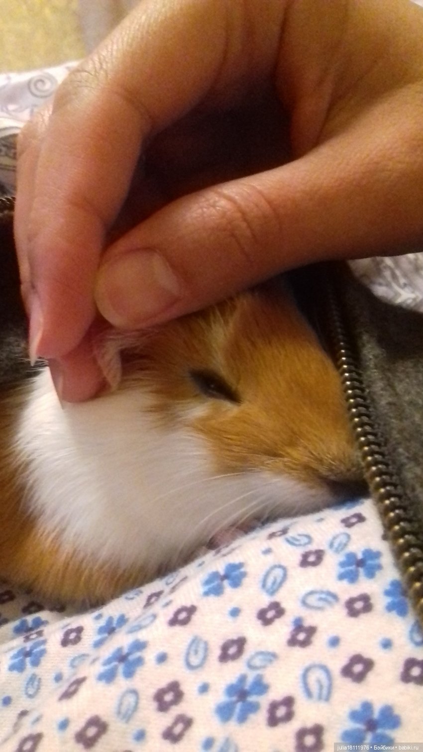 Дом кукол Лавандовый сон. Радость нашего дома (фото 5)