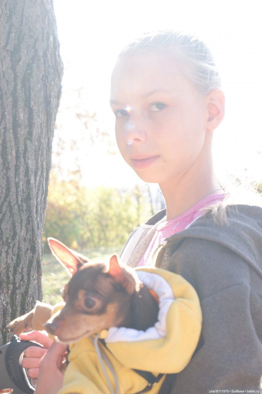 Дом кукол Лавандовый сон. Радость нашего дома