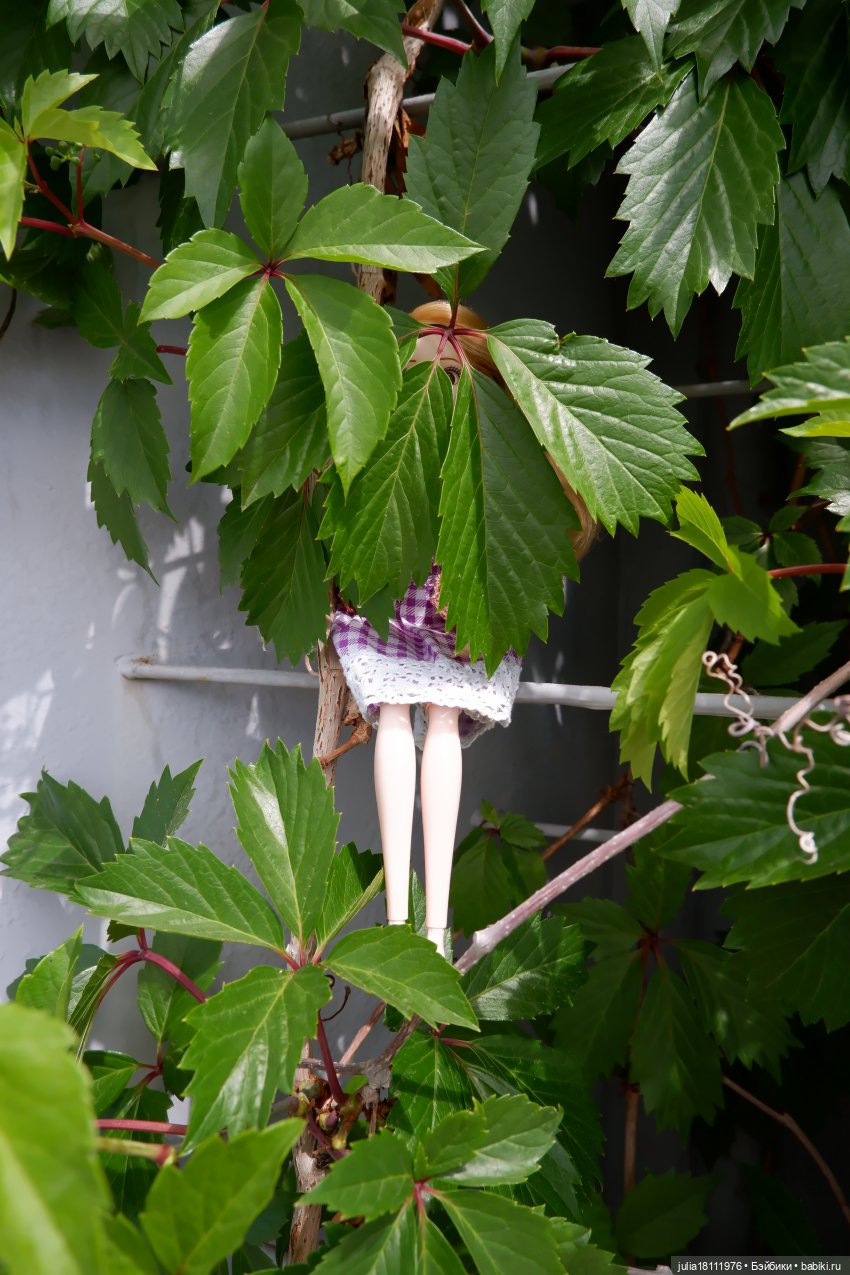 Дом кукол Лавандовый сон. Семейка Барбиобразные. Часть 4. Представление