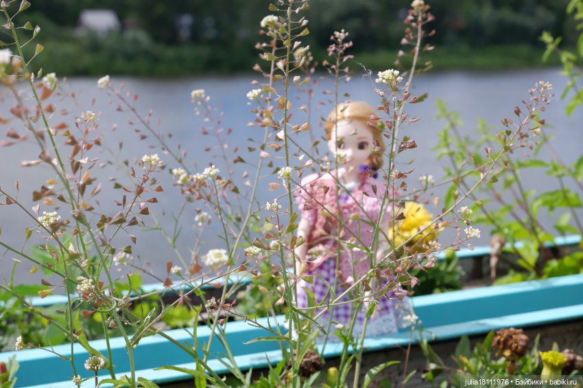 Дом кукол Лавандовый сон. Семейка Барбиобразные. Часть 4. Представление