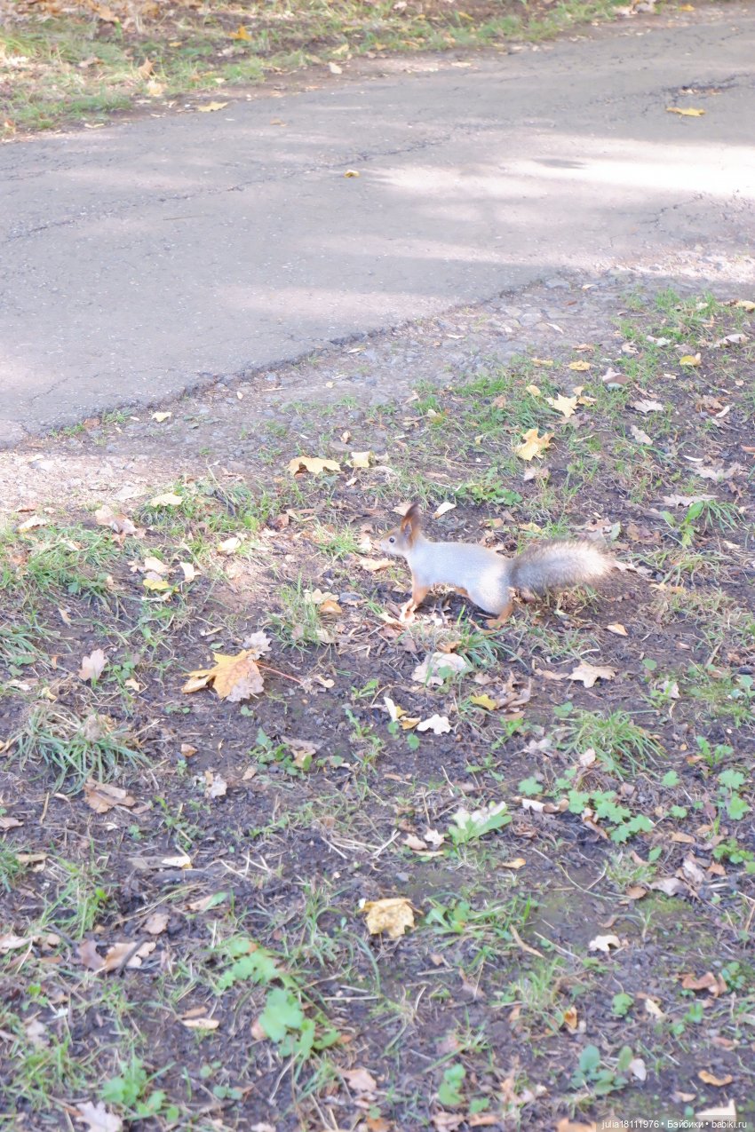 Дом кукол Лавандовый сон. Гуляем коллекцию "Синева"