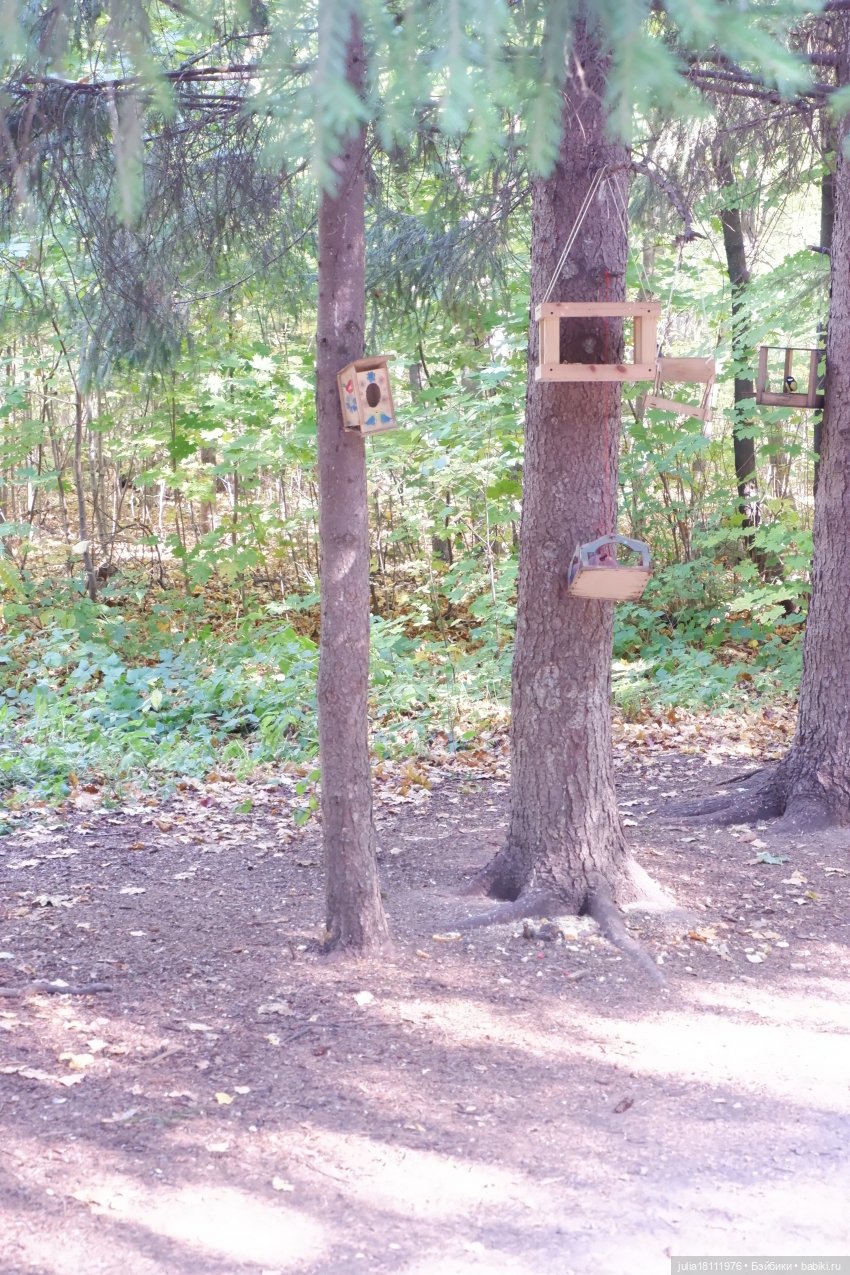 Дом кукол Лавандовый сон. Гуляем коллекцию "Синева"