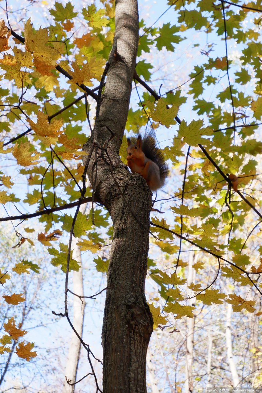 Дом кукол Лавандовый сон. Гуляем коллекцию "Синева"