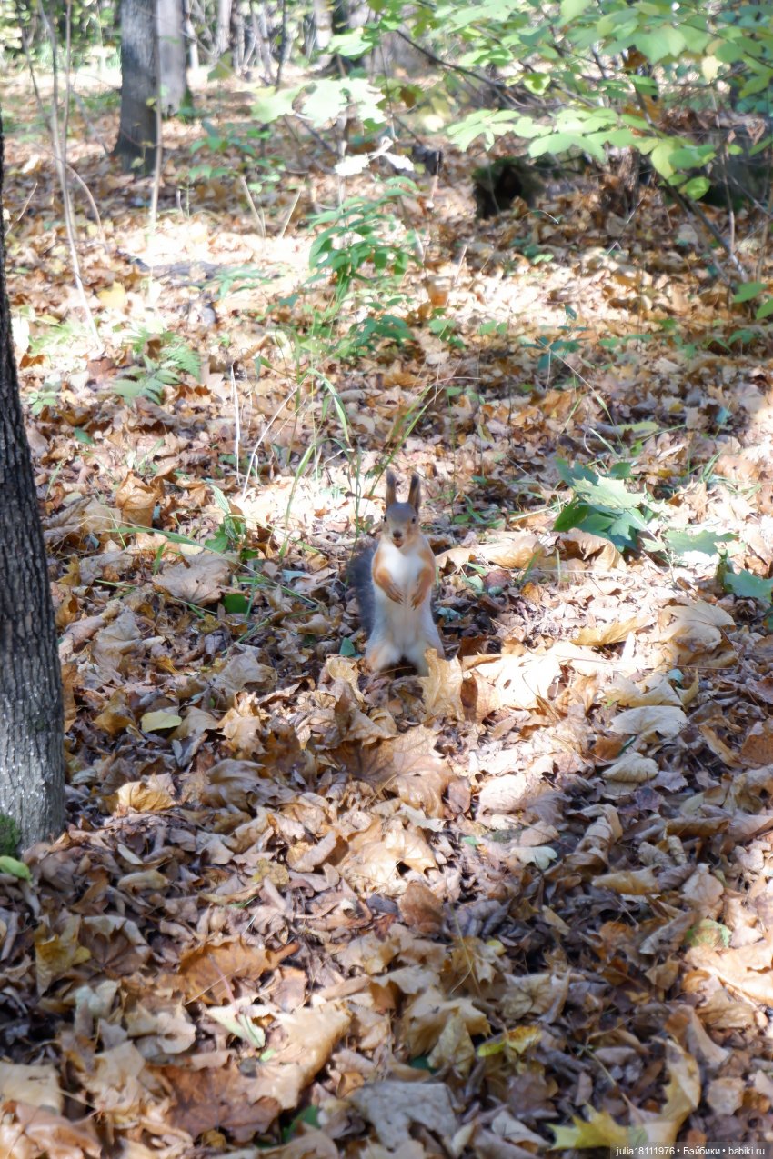 Дом кукол Лавандовый сон. Гуляем коллекцию "Синева"