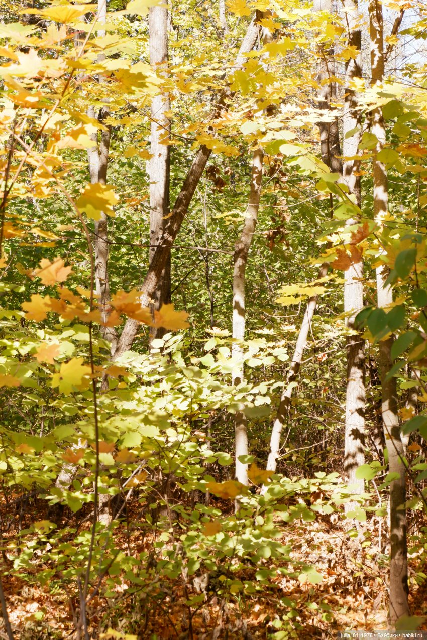 Дом кукол Лавандовый сон. Гуляем коллекцию "Синева"