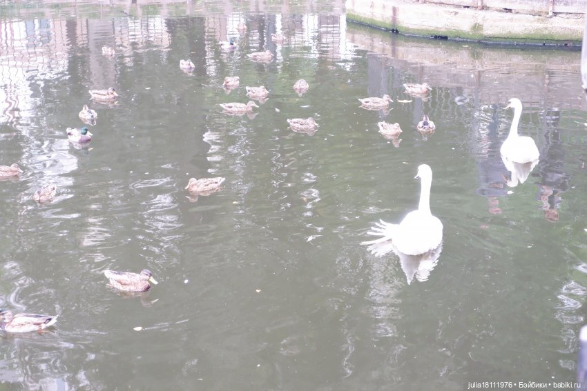 Дом кукол Лавандовый сон. Гуляем коллекцию "Синева"
