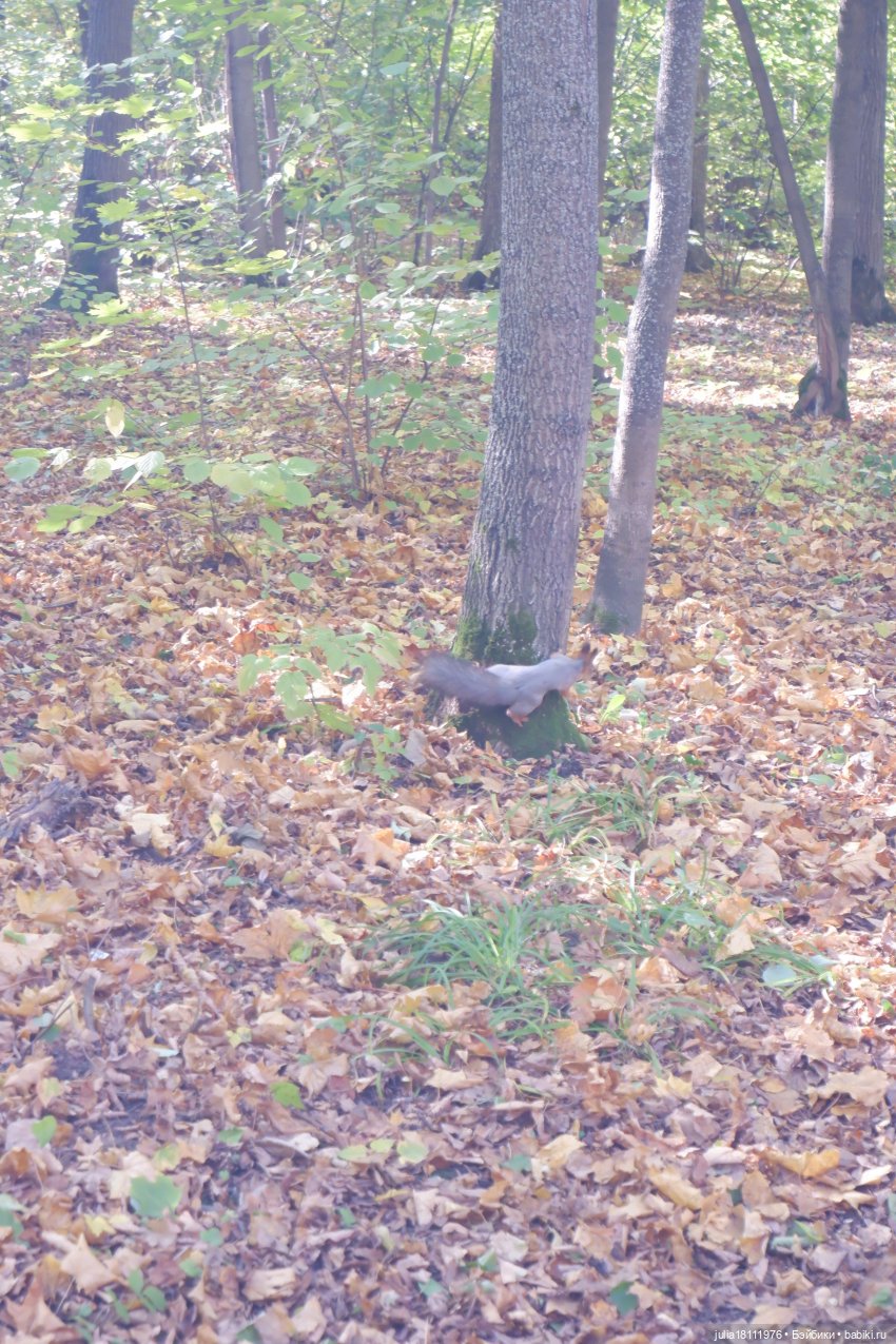 Дом кукол Лавандовый сон. Гуляем коллекцию "Синева"