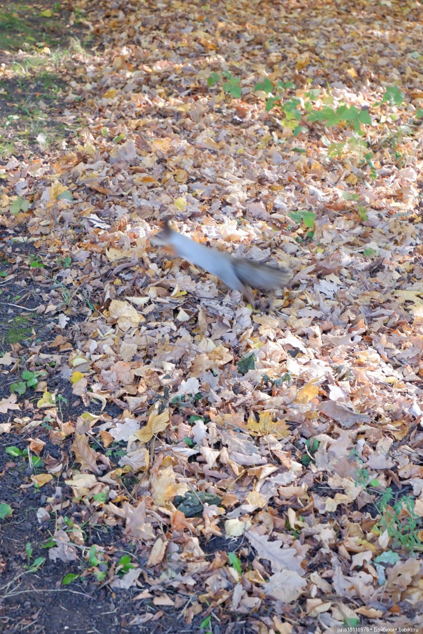 Дом кукол Лавандовый сон. Гуляем коллекцию "Синева"