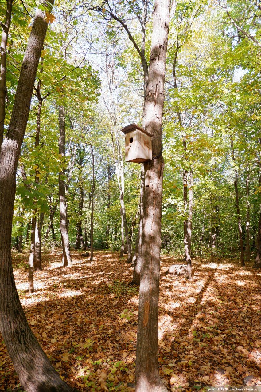 Дом кукол Лавандовый сон. Гуляем коллекцию "Синева"