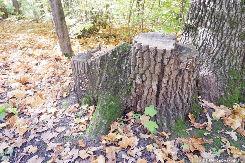 Дом кукол Лавандовый сон. Гуляем коллекцию "Синева"