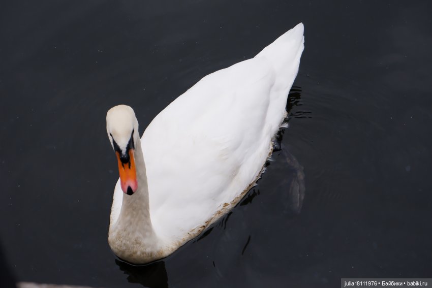 Дом кукол Лавандовый сон. Гуляем коллекцию "Синева"