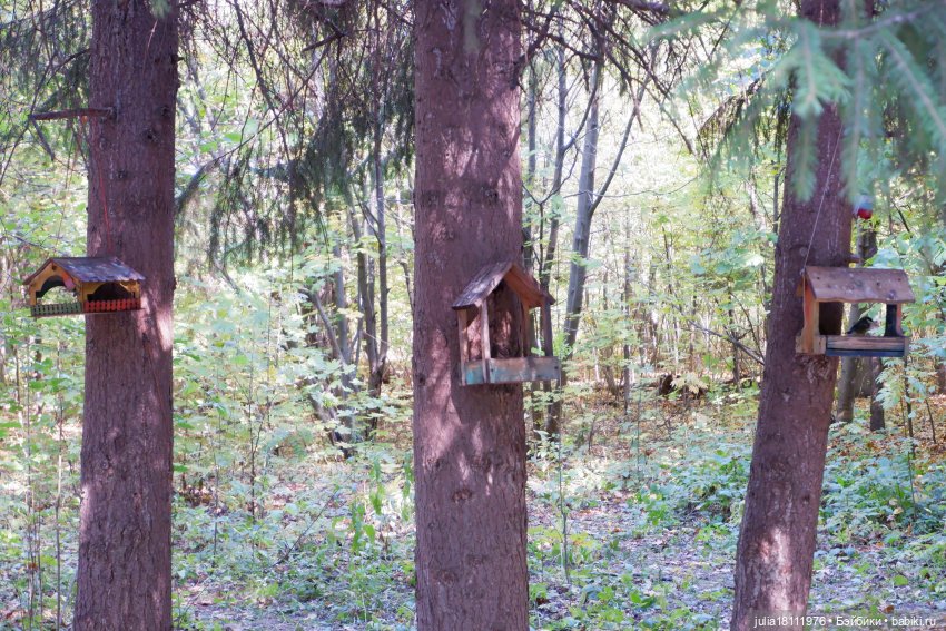 Дом кукол Лавандовый сон. Гуляем коллекцию "Синева"