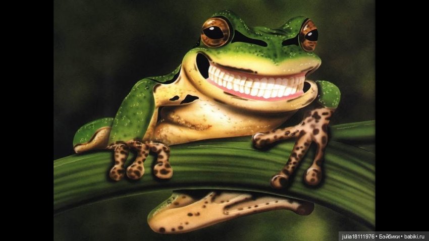 Дом кукол Лавандовый сон. Жаба и Хомяк 10 (фото 9)