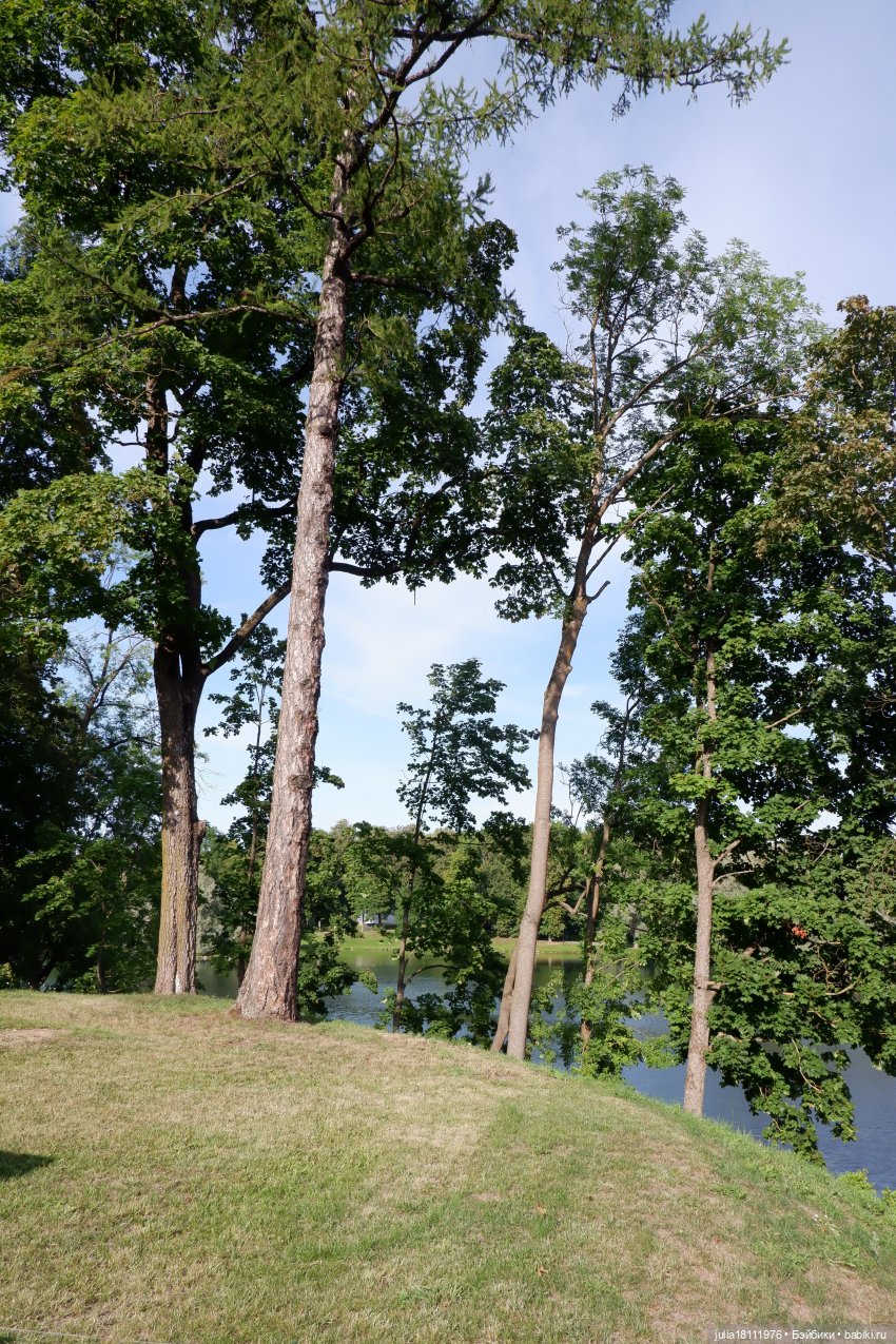 Дом кукол Лавандовый сон. Акварели Петербурга - август 2023. Часть 3