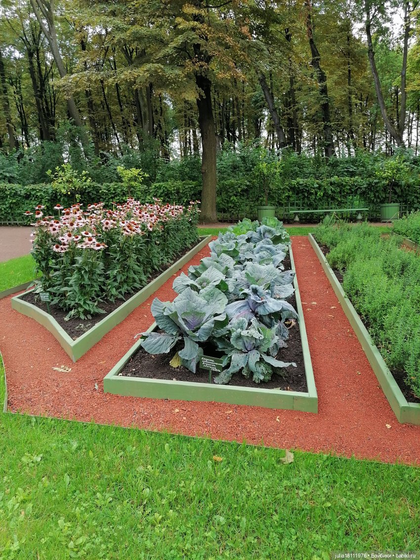 Дом кукол Лавандовый сон. Акварели Петербурга - август 2023. Часть 4