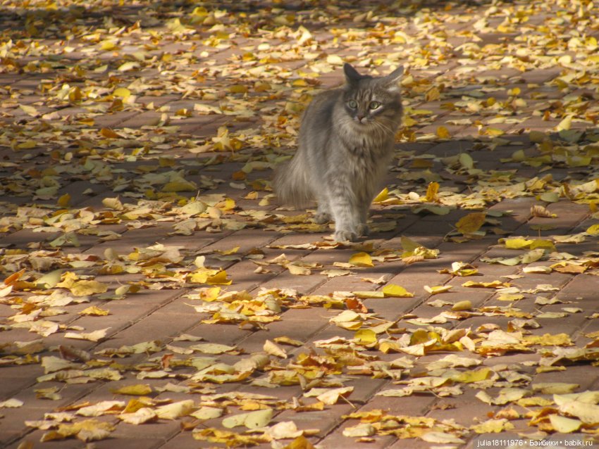 Дом кукол Лавандовый сон. Прогулки по Уфе. Семейка Баболи - преображение. Часть 3