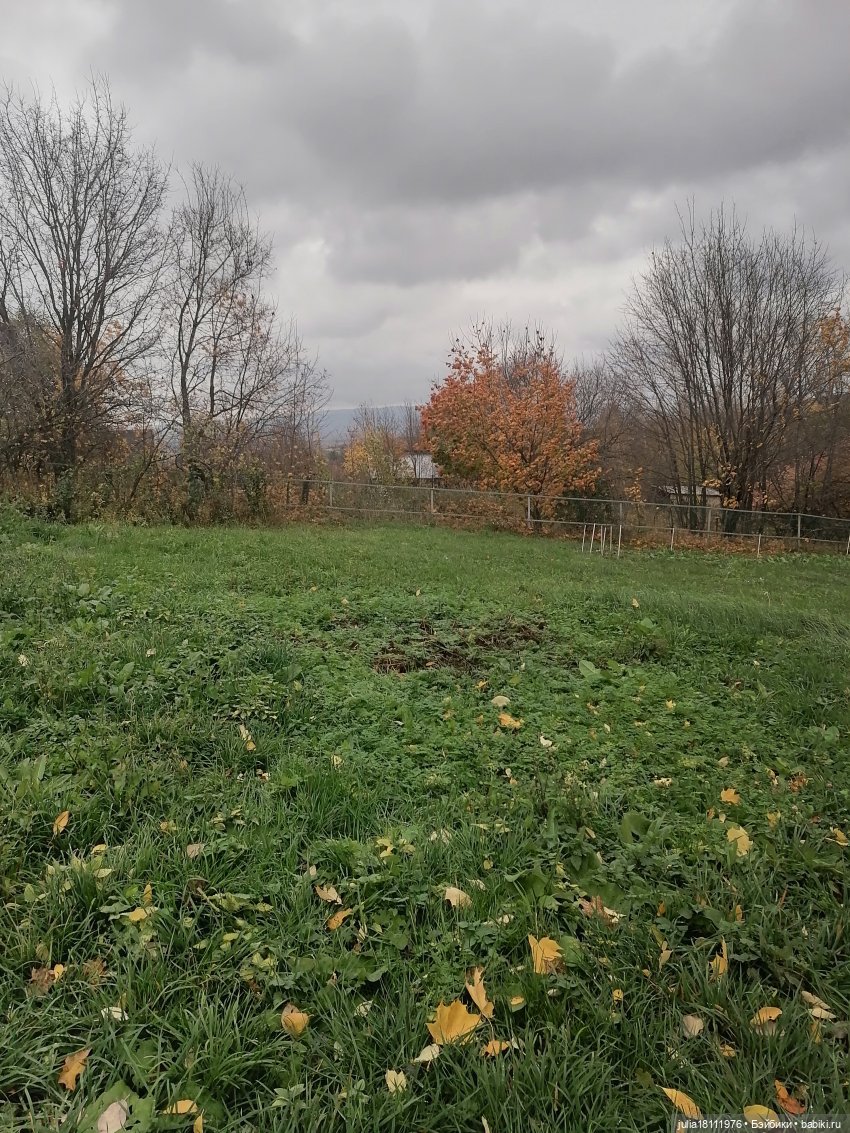 Дом кукол Лавандовый сон. Семейка Баболи - представление Часть 4 (фото 9)