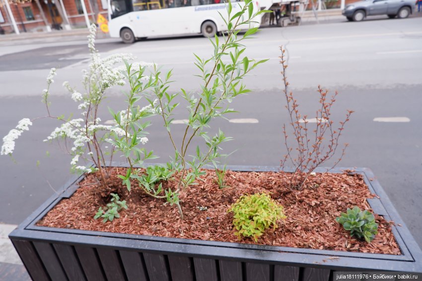 Дом кукол Лавандовый сон. Парки, куклы, Первомай! Лика Такара представление часть 1 | Бэйбики Дом кукол Лавандовый сон. Парки, куклы, Первомай! Лика Такара представление часть 1