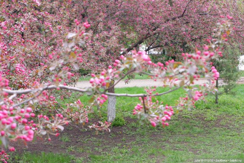 Дом кукол Лавандовый сон. Парки, куклы, Первомай! Лика Такара представление часть 1 | Бэйбики Дом кукол Лавандовый сон. Парки, куклы, Первомай! Лика Такара представление часть 1