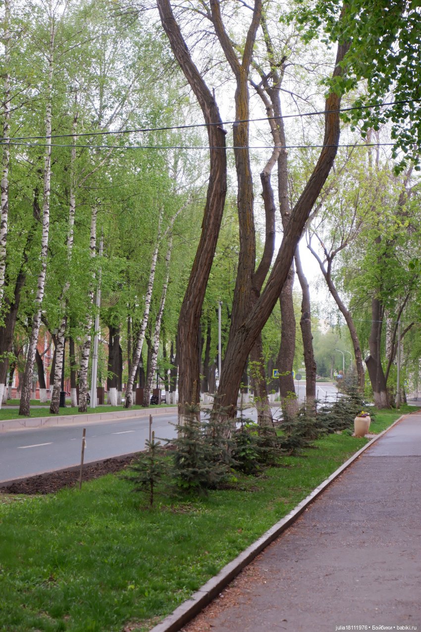 Дом кукол Лавандовый сон. Парки, куклы, Первомай! Лика Такара представление часть 1 | Бэйбики Дом кукол Лавандовый сон. Парки, куклы, Первомай! Лика Такара представление часть 1