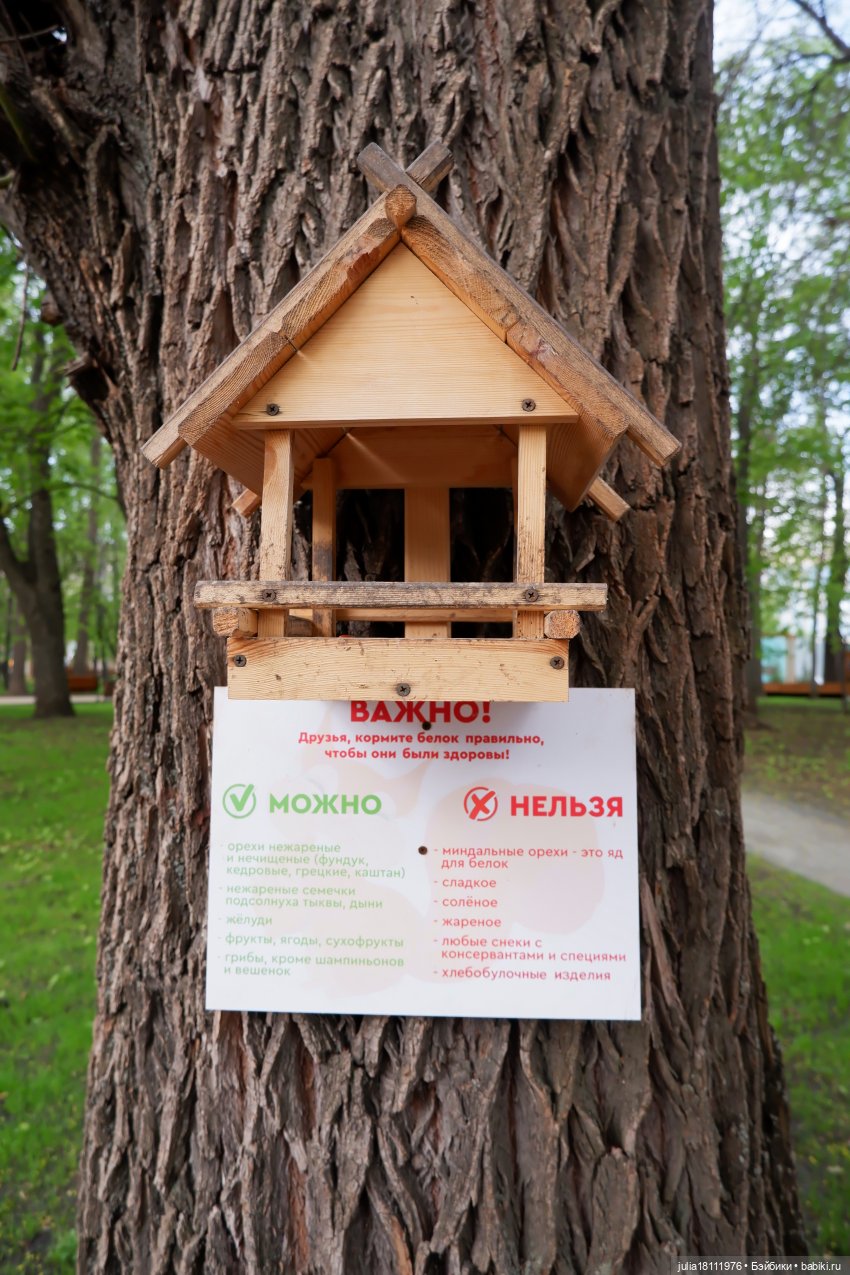 Дом кукол Лавандовый сон. Парки, куклы, Первомай! Лика Такара представление часть 1 | Бэйбики Дом кукол Лавандовый сон. Парки, куклы, Первомай! Лика Такара представление часть 1 (фото 6)