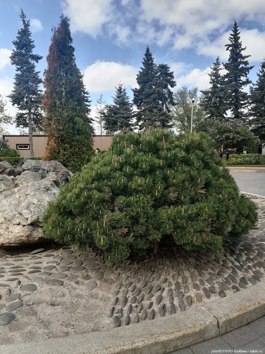 Дом кукол Лавандовый сон. Семейка "Монстр хай. Оригинал" - представление (часть 4)