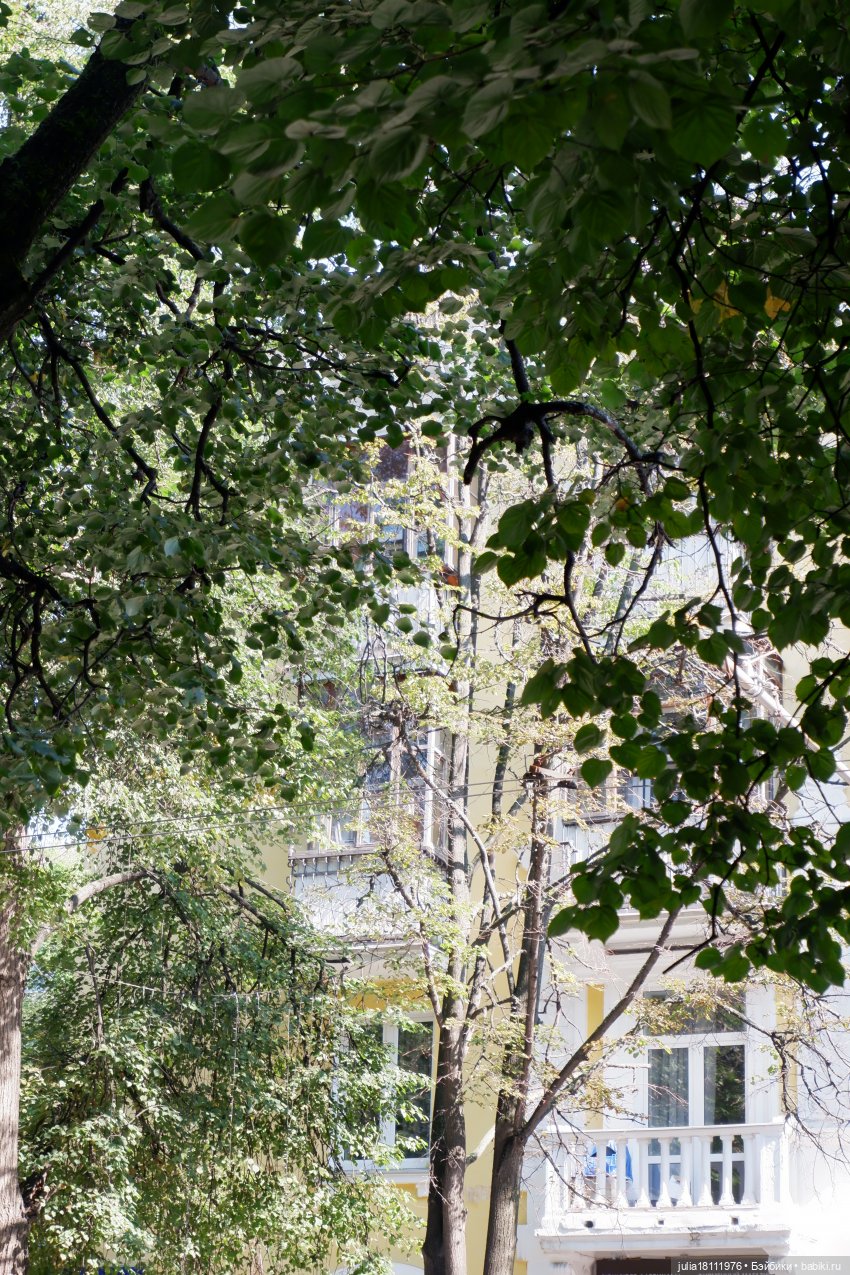 Дом кукол Лавандовый сон. Прогулки по Уфе. Черниковка (фото 8)