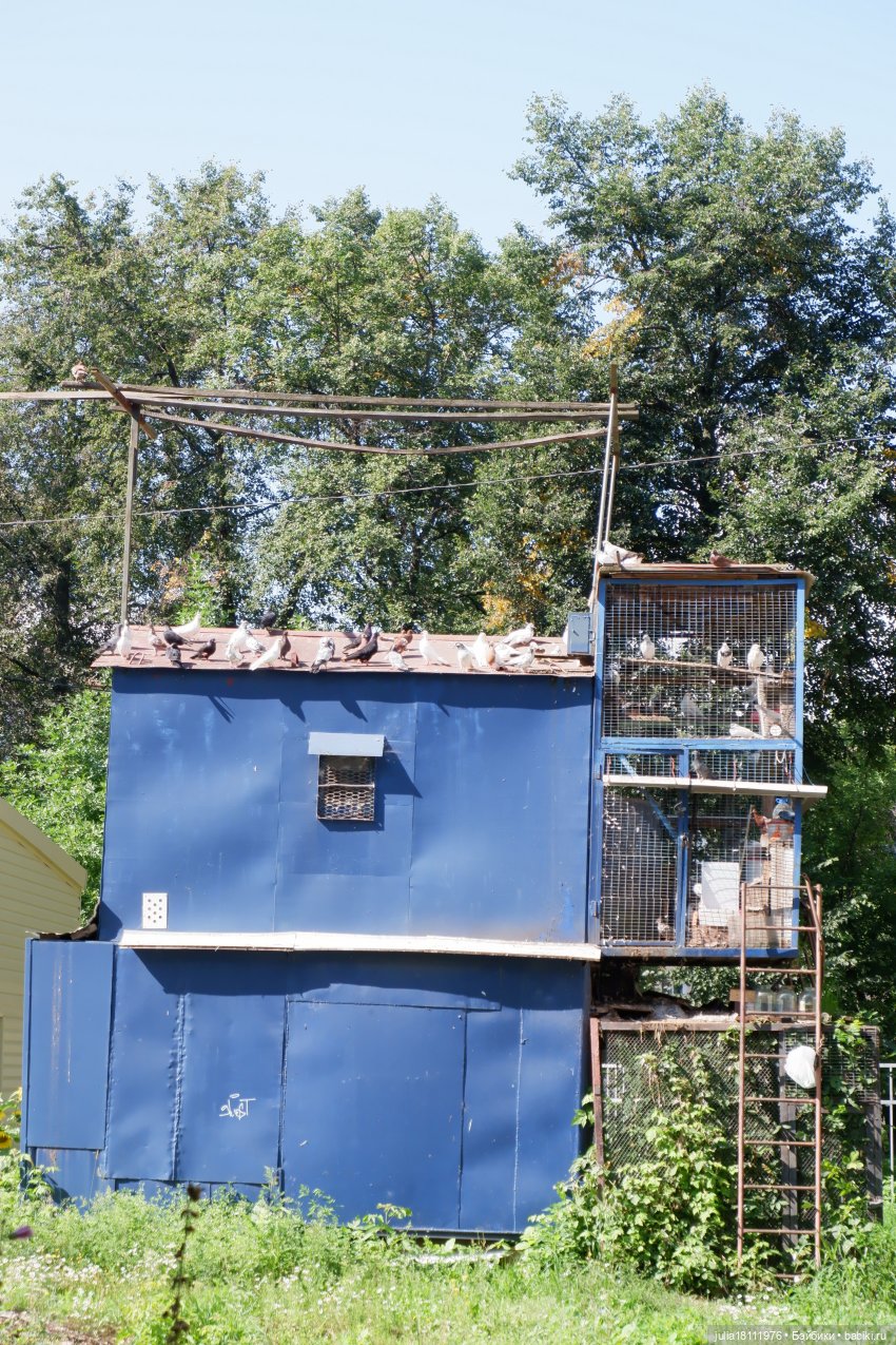 Дом кукол Лавандовый сон. Прогулки по Уфе. Черниковка