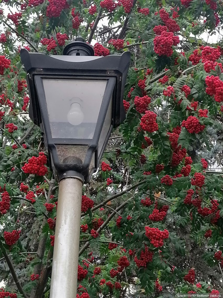 Дом кукол Лавандовый сон. Семейка фэшн. Представление | Бэйбики Дом кукол Лавандовый сон. Семейка фэшн. Представление