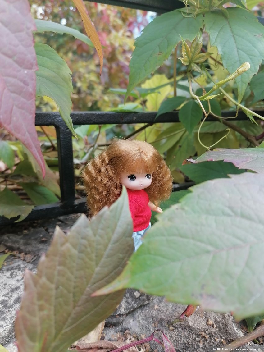 Дом кукол Лавандовый сон. Малышки Такара представление часть 2