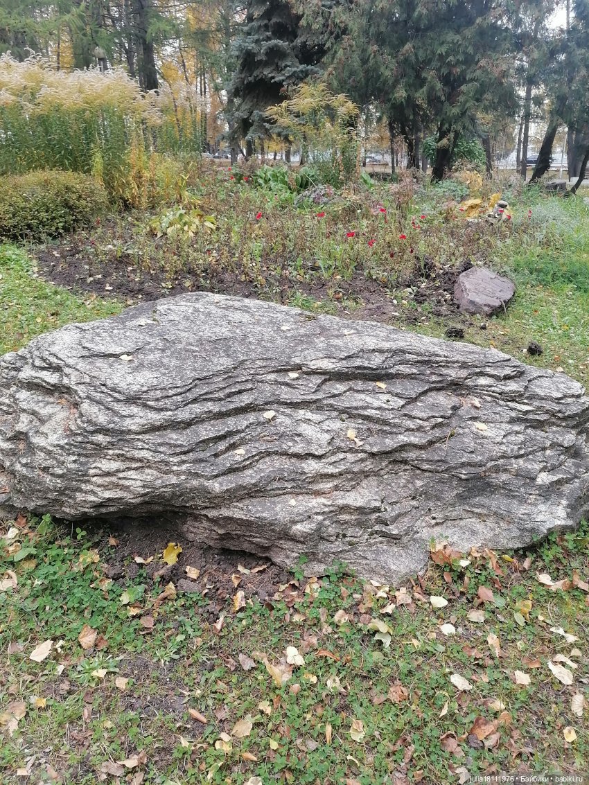 Дом кукол Лавандовый сон. Малышки Такара представление часть 2