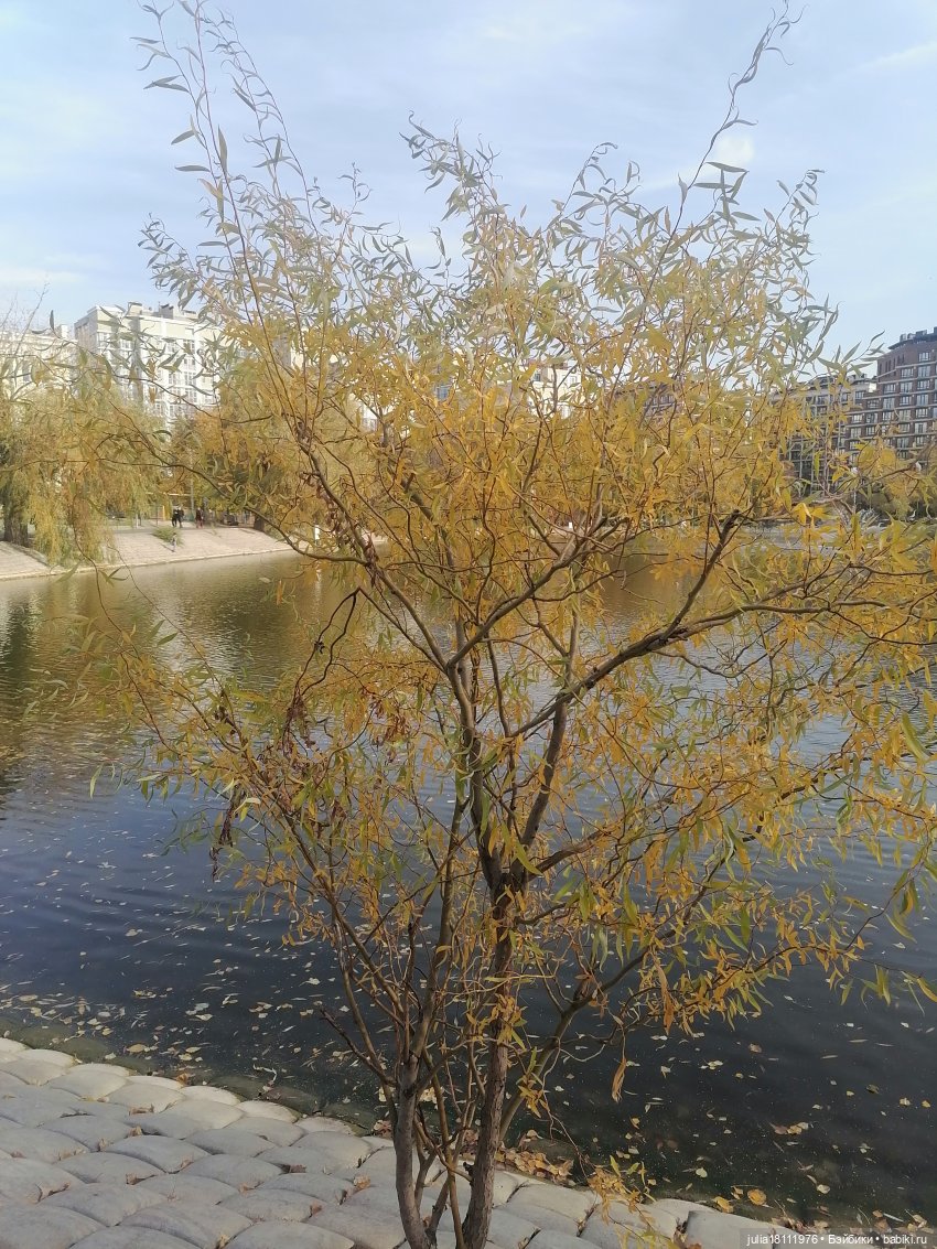 Дом кукол Лавандовый сон. Семейка Баболи - представление Часть 5 (фото 10)