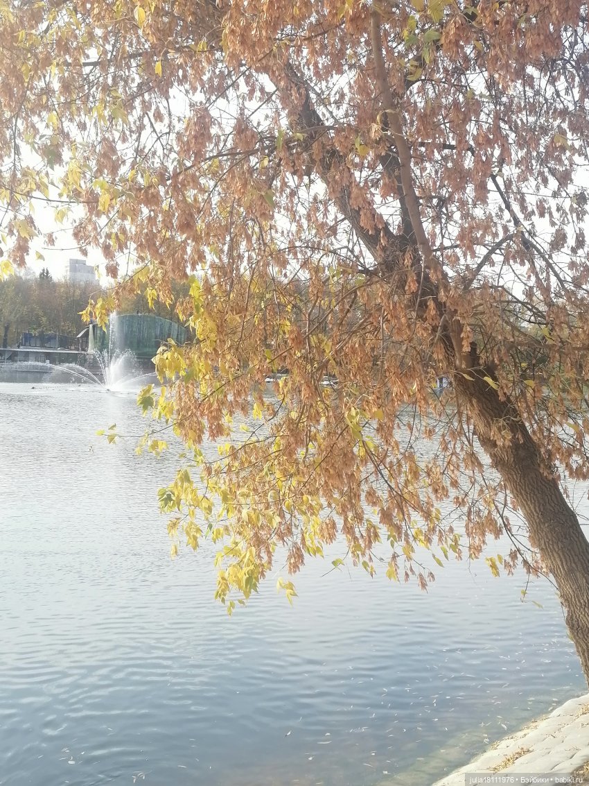 Дом кукол Лавандовый сон. Семейка Баболи - представление Часть 5