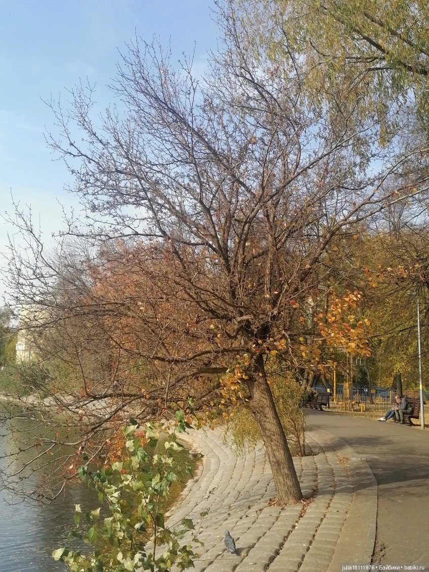 Дом кукол Лавандовый сон. Семейка Баболи - представление Часть 5 (фото 9)