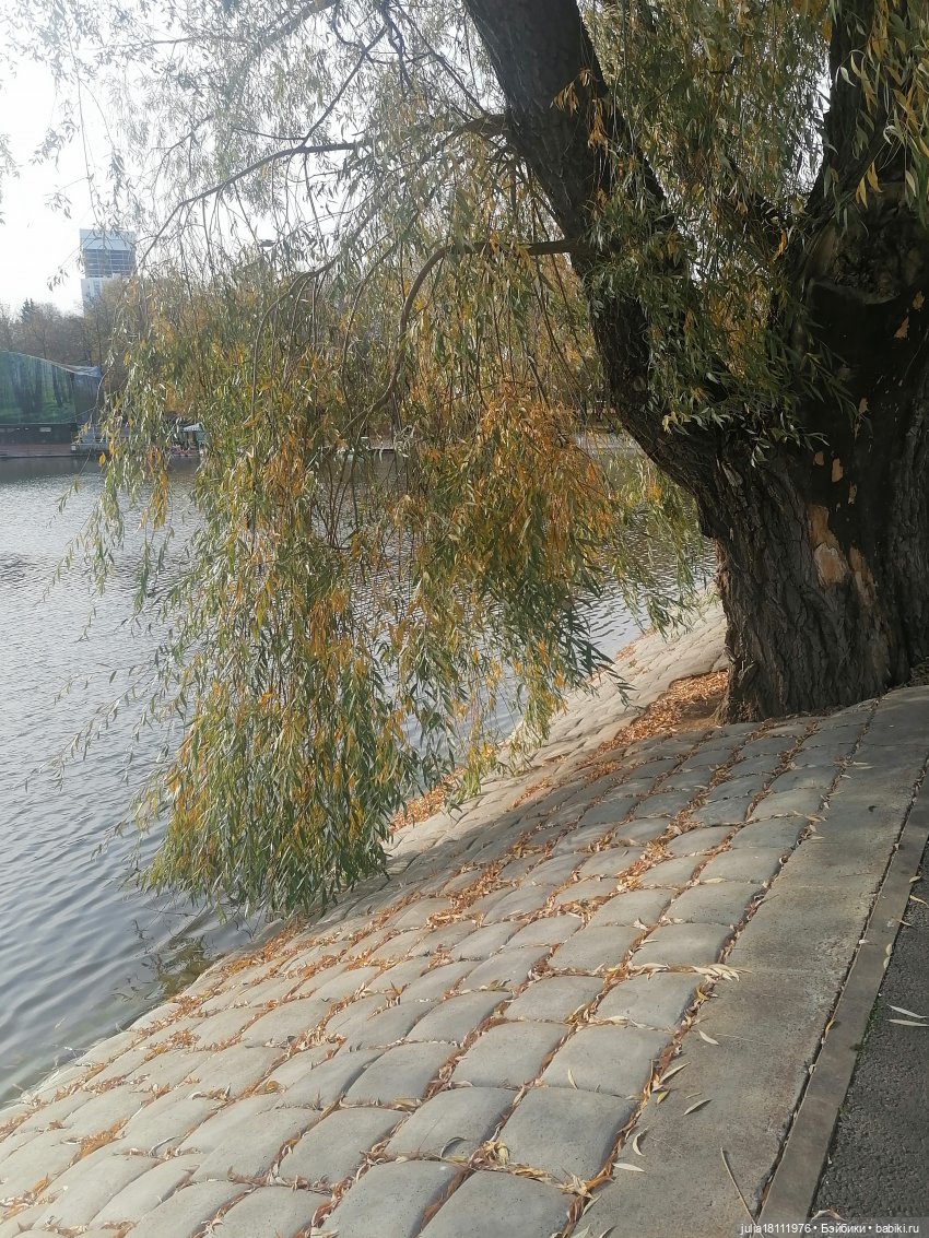 Дом кукол Лавандовый сон. Семейка Баболи - представление Часть 5