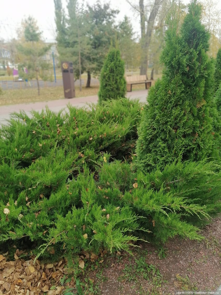 Дом кукол Лавандовый сон. Семейка Баболи - представление Часть 5