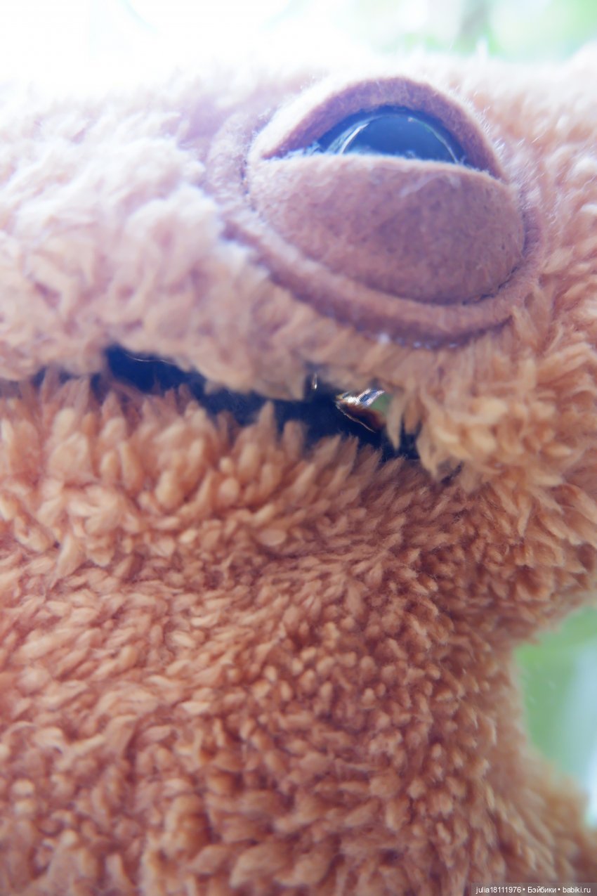 Дом кукол Лавандовый сон. Фагглер Faggler (фото 10)