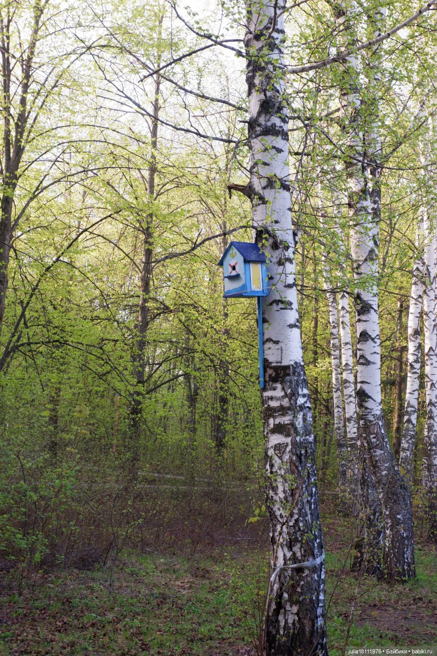 Дом кукол Лавандовый сон. Семейка Барбиобразные. Часть 8. Куклы "Соня Роуз/Курн"