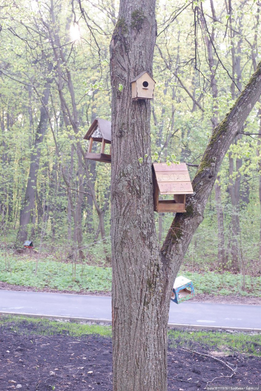Дом кукол Лавандовый сон. Семейка Барбиобразные. Часть 8. Куклы "Соня Роуз/Курн" (фото 10)