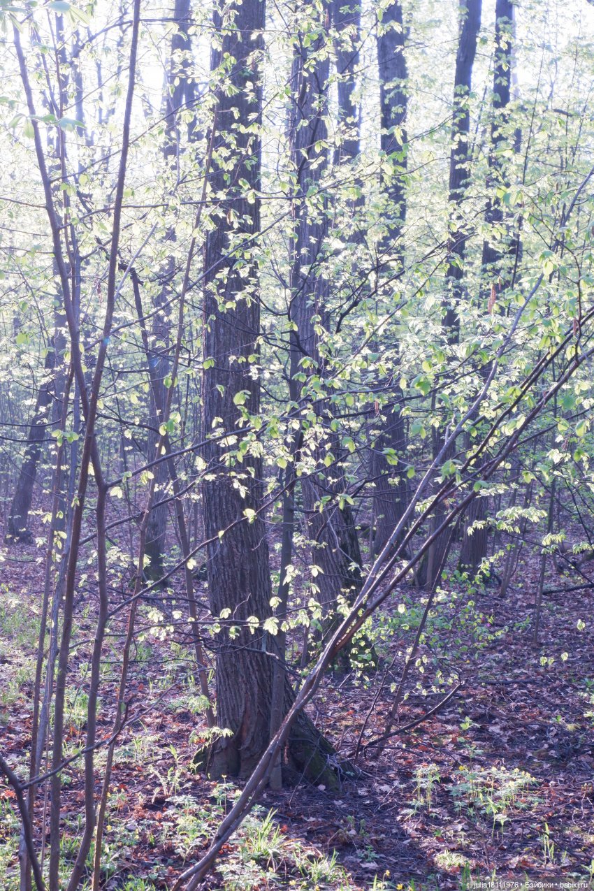 Дом кукол Лавандовый сон. Семейка Барбиобразные. Часть 8. Куклы "Соня Роуз/Курн" (фото 6)