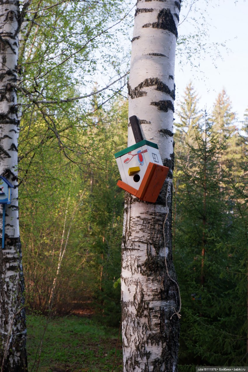 Дом кукол Лавандовый сон. Семейка Барбиобразные. Часть 8. Куклы "Соня Роуз/Курн"