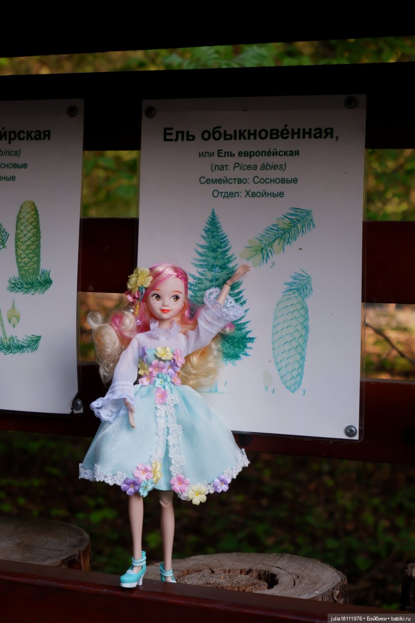 Дом кукол Лавандовый сон. Семейка Барбиобразные. Часть 8. Куклы "Соня Роуз/Курн"