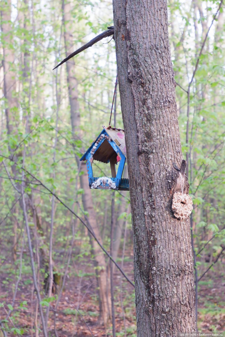 Дом кукол Лавандовый сон. Семейка Барбиобразные. Часть 8. Куклы "Соня Роуз/Курн" (фото 9)