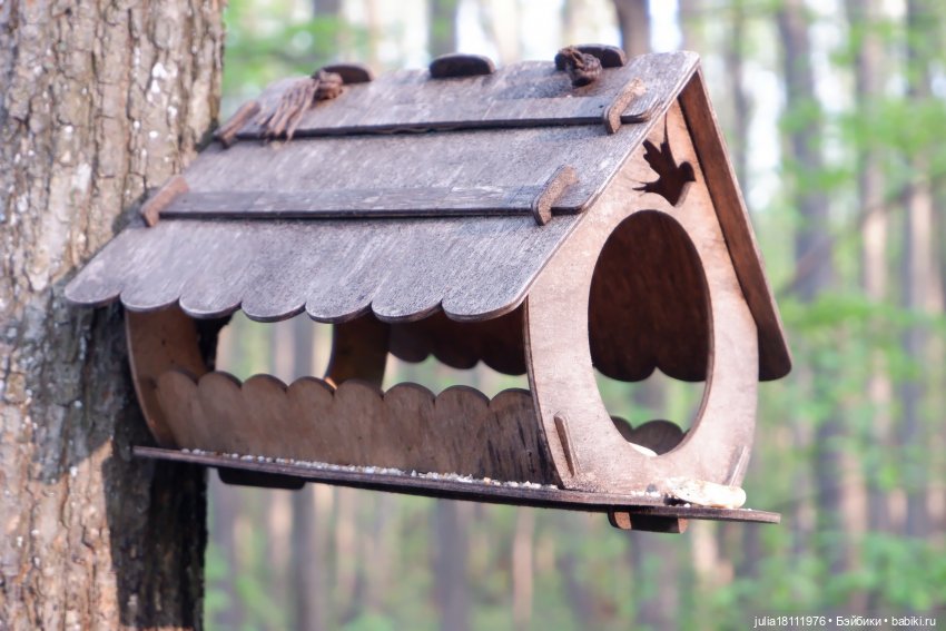 Дом кукол Лавандовый сон. Семейка Барбиобразные. Часть 8. Куклы "Соня Роуз/Курн" (фото 8)