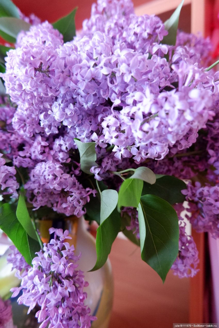 Дом кукол "Лавандовый сон". Семейка Барбиобразные. Часть 11. Бетти Тонг (Тин) Все еще представление | Бэйбики Дом кукол "Лавандовый сон". Семейка Барбиобразные. Часть 11. Бетти Тонг (Тин) Все еще представление