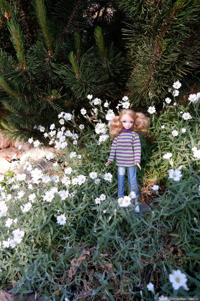 Дом кукол Лавандовый сон. Семейка Барбиобразные. Часть 12. Куклы "Соня Роуз/Курн"