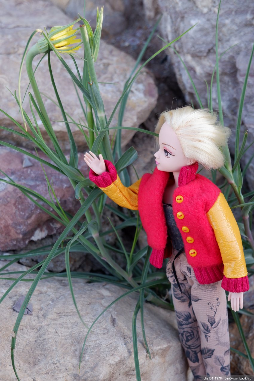 Дом кукол Лавандовый сон. Семейка Барбиобразные. Часть 12. Куклы "Соня Роуз/Курн"